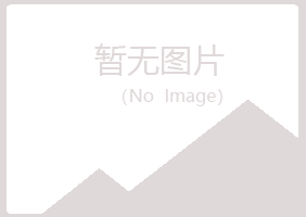 田东县问雁工程有限公司